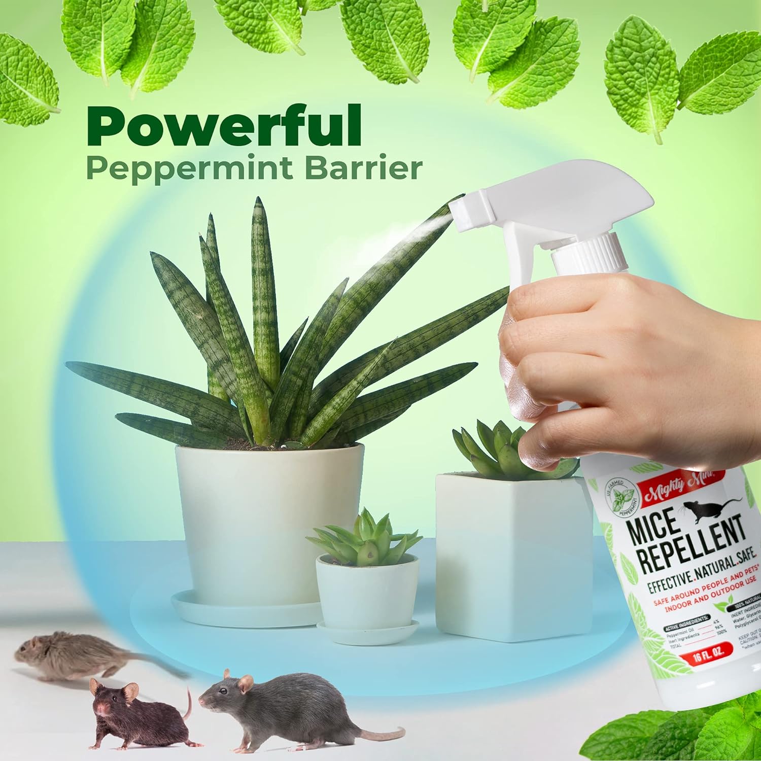 16oz Peppermint Oil Mice Repellent Spray B913
