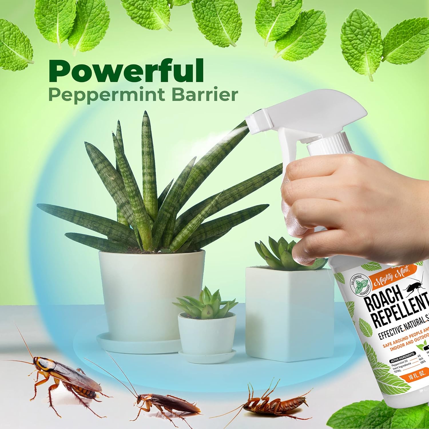 16oz Natural Peppermint Oil Cockroach Repellent Spray L56554