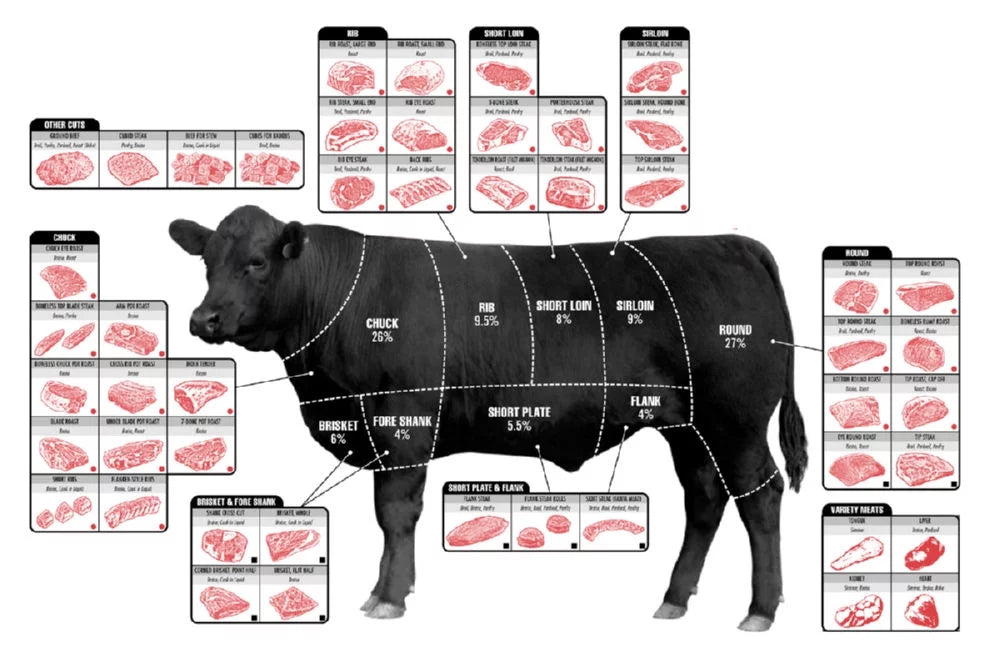 Beef Butcher Chart Poster 24x36 W21049