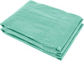 19.7' x 9.8' x 6.6' Plastic Greenhouse Cover Replacement, Green E353939