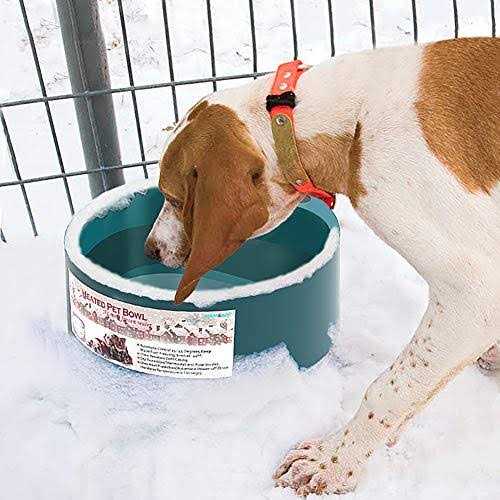 Dog Heated Water Bowl Y73754