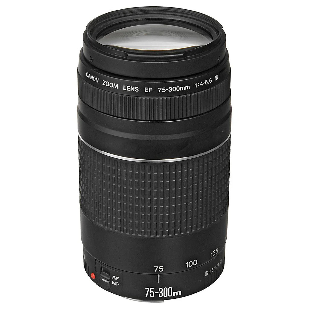 Mirrorless Camera with RF-S 18-45mm + EF 75-300mm Lens + 128GB Memory Card + Case + LED Flash E95828