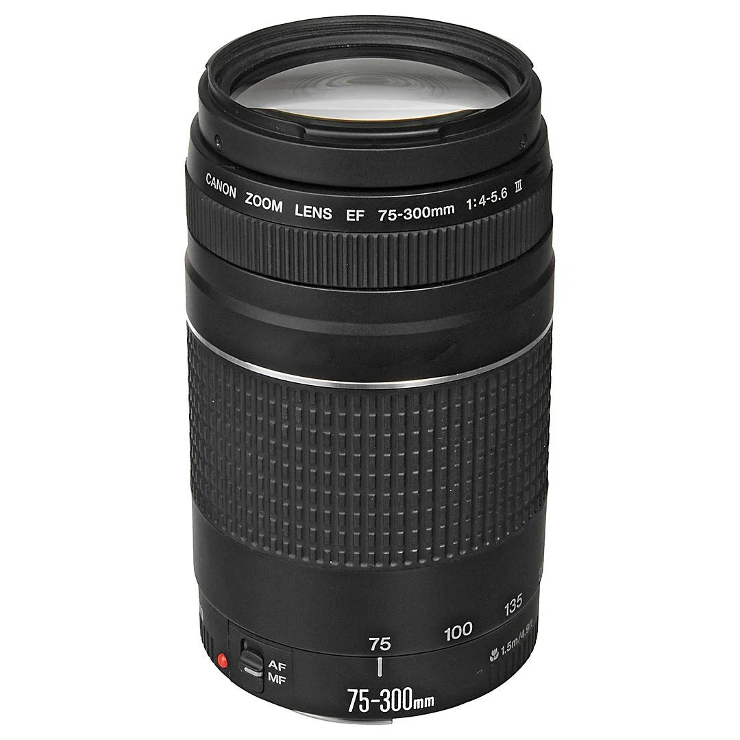 Mirrorless Camera with RF-S 18-45mm + EF 75-300mm Lens + 128GB Memory Card + Case + LED Flash E95828