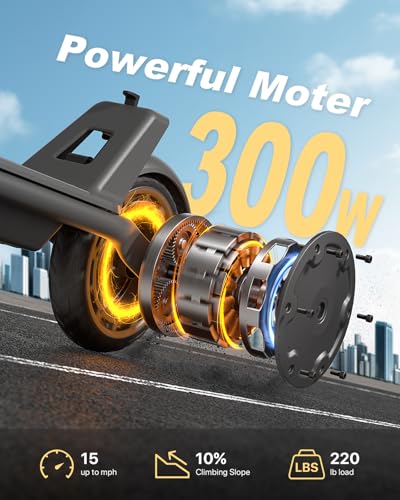 8.5 Solid Tires 300W Motor Electric Scooter O12283