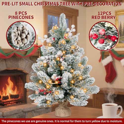 2FT Pre-lit Mini Christmas Snow Flocked Tree with LED Lights V455