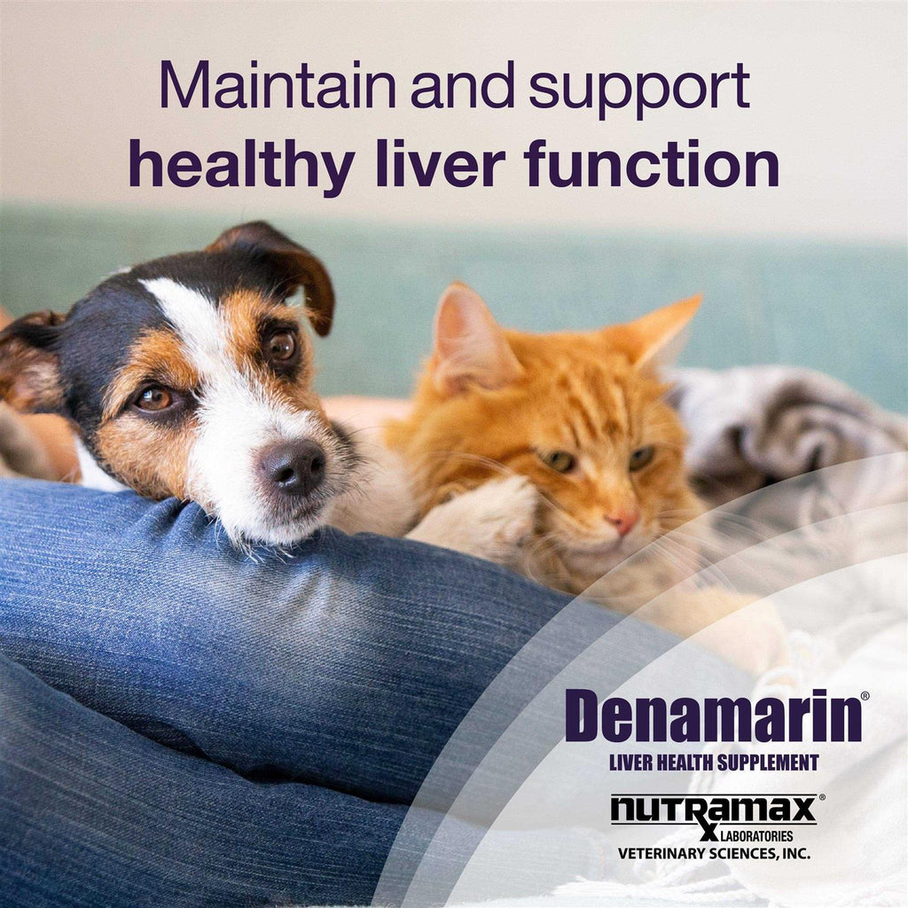 Denamarin for Cats and Small Dogs R464