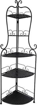 5 Tier Iron Plant Stand P983