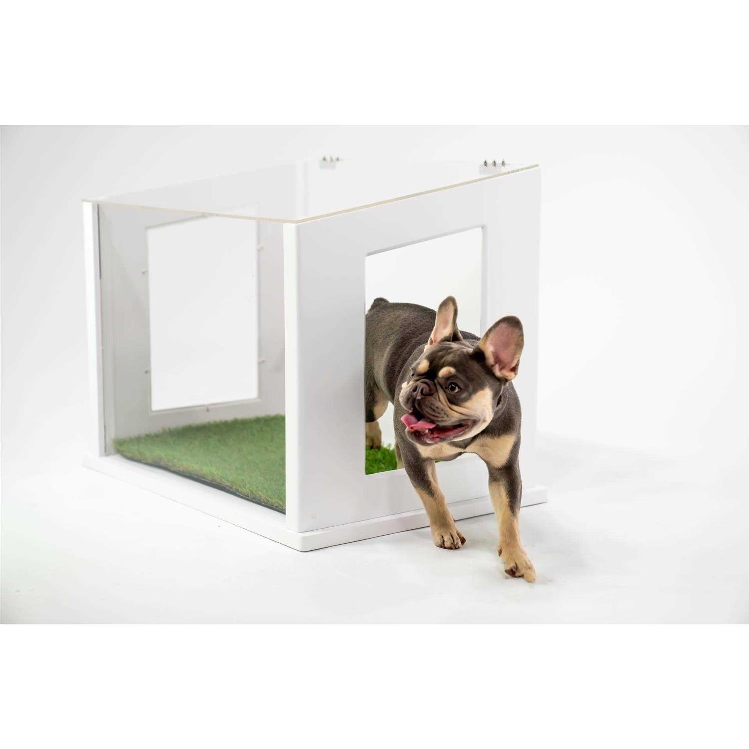Pet Potty P10743