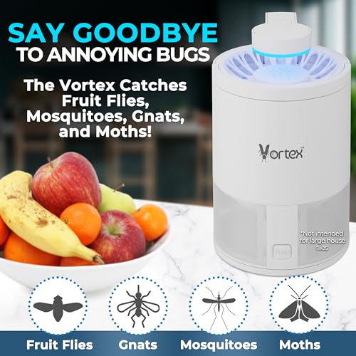 Indoor Insect Trap UV Light Suction Glue Board Bug Light Fruit Fly Trap (Black) R606639