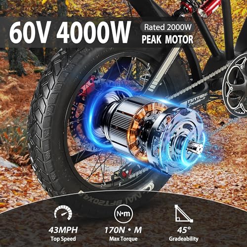20" Fat Tire Electric Dirt Bike C561958