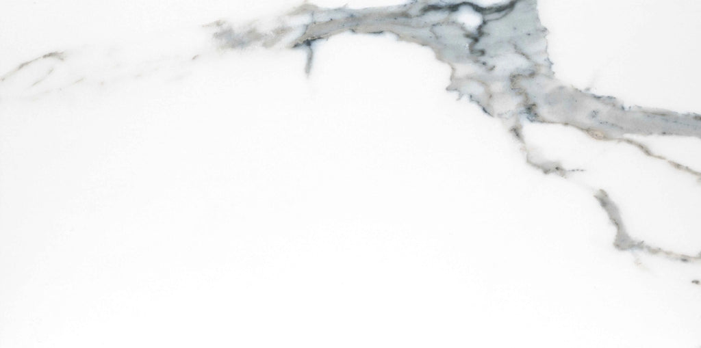 12 in. x 24 in. Polished Porcelain Floor And Wall Tile B897