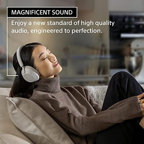 Wireless Noise Canceling Headphones (Silver) H897