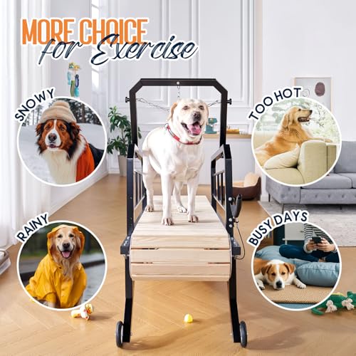 Enlarged Indoor Dog Treadmill U17990