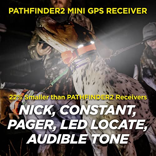GPS Dog Tracker e Collar 9 Mile Long Range LED Light Waterproof J838