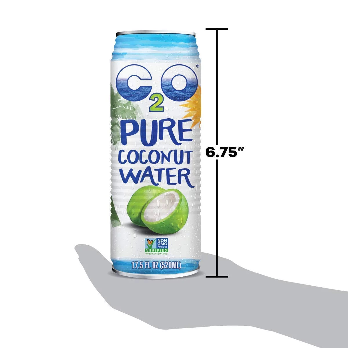 17.5 FL OZ Pack of 12 Pure Coconut Water C709