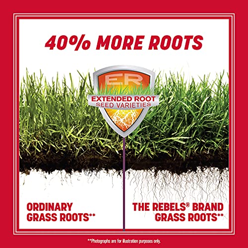 20 lb Tall Fescue Grass Seed Mix W3244