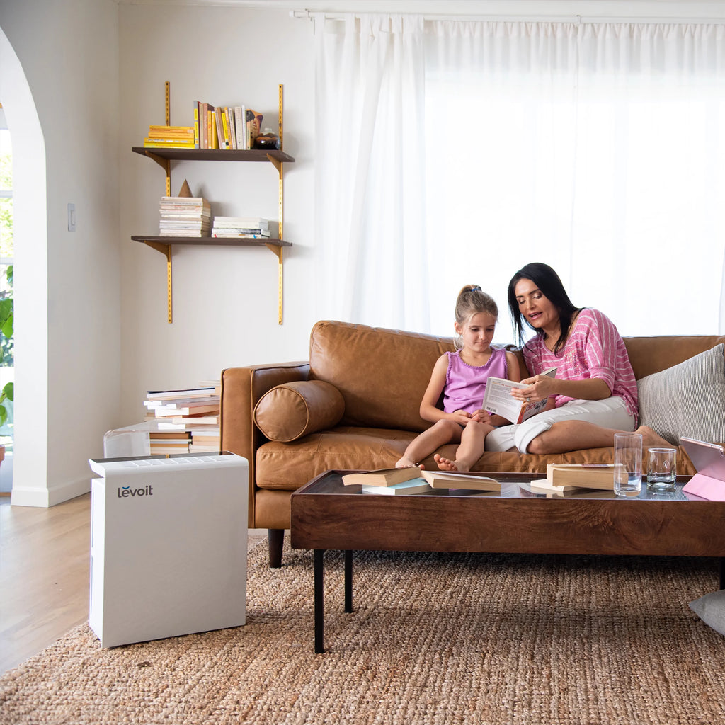 Compact True HEPA Air Purifier H1678
