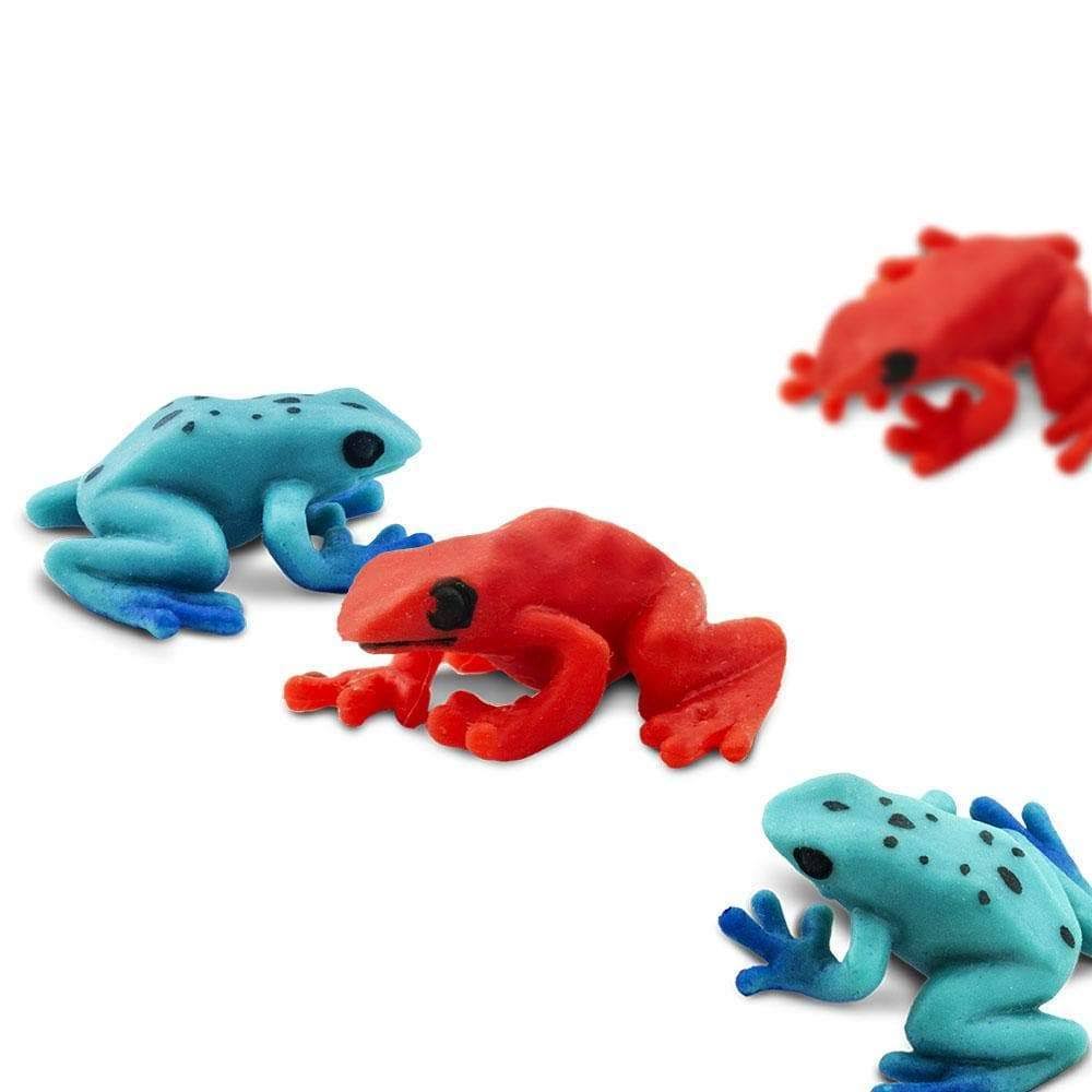 Poison Dart Frogs I2657