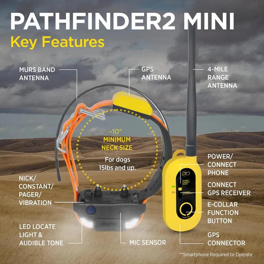 GPS Dog Tracker e Collar 9 Mile Long Range LED Light Waterproof J838