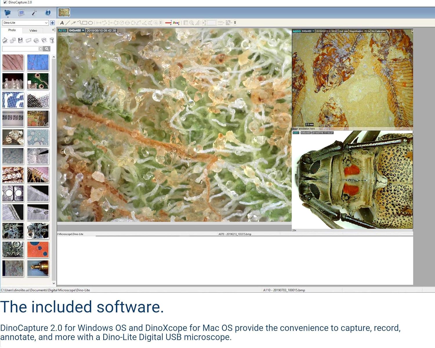 USB Digital Microscope, 10x - 50x, 230x Optical Magnification, 8 LEDs X9951