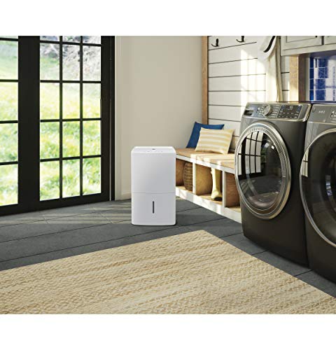 Portable Dehumidifier U909