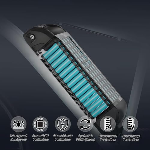 Black 48V 20Ah Electric Bicycle Lithium Battery with Charger K137