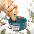 Dog Heated Water Bowl Y73754