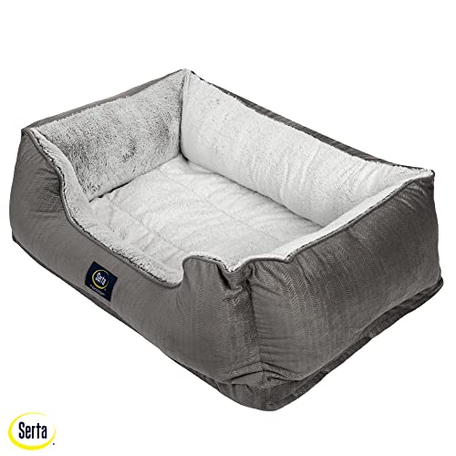 Slate Gray X-Large Orthopedic Dog Bed Y744