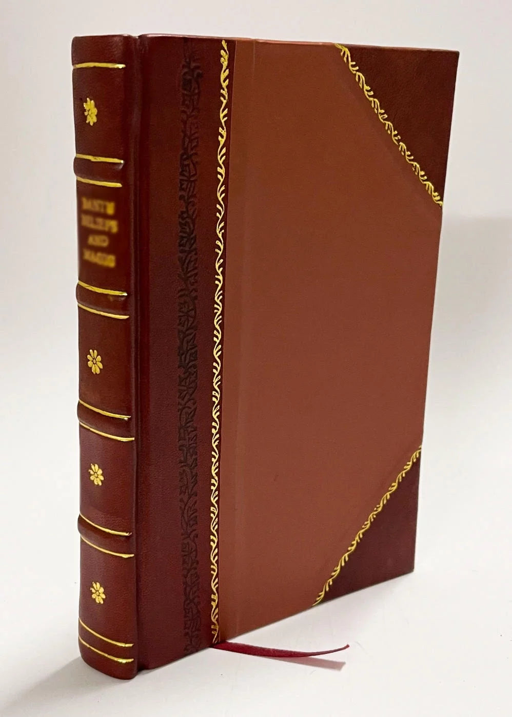 Meat Curing and Sausage Making Book B90169