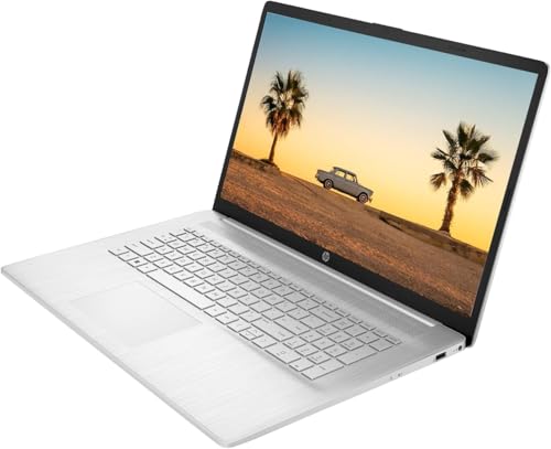 17.3" HD+ Display AMD Ryzen 5 7530U 8GB RAM 256GB SSD Windows 11 Pro Laptop B396239