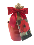 Red Ceramic Pot Amaryllis Bulb with Burlap Sack and Ribbon F6080