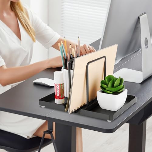 Black Metal Napkin Holder with Salt and Pepper Shakers Caddy E470515