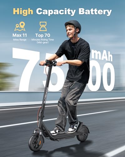8.5 Solid Tires 300W Motor Electric Scooter O12283