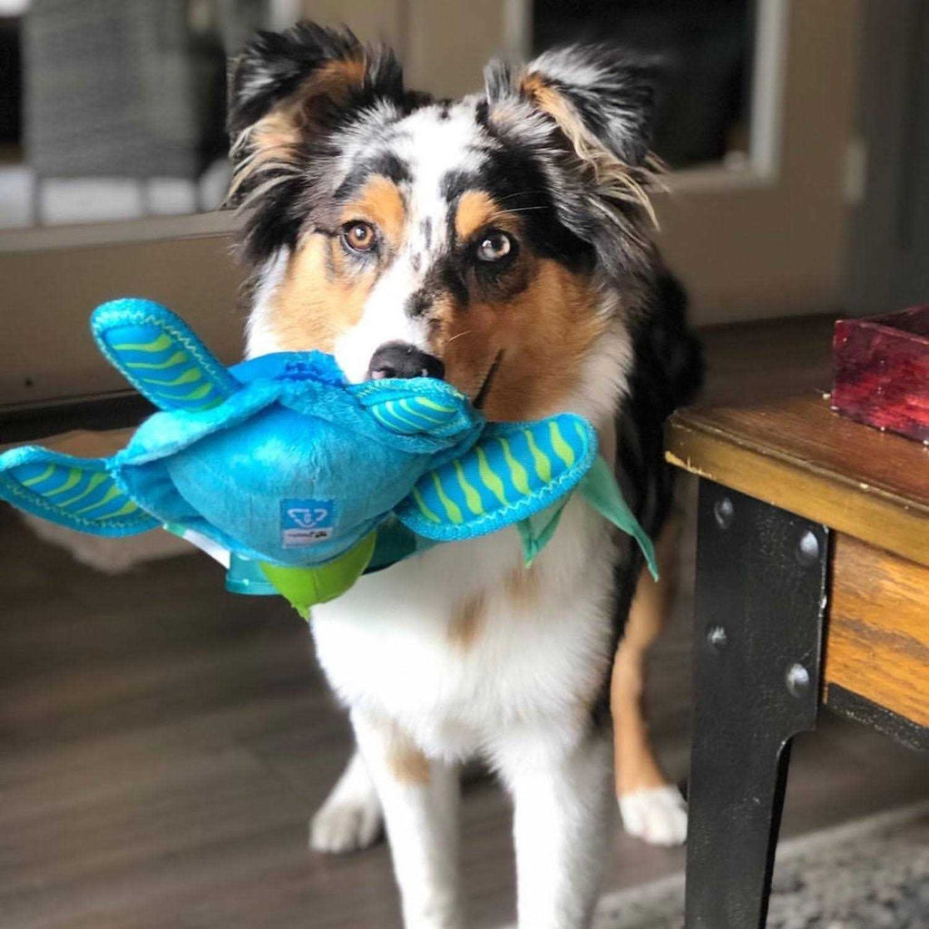 Clean Earth Plush Turtle Dog Toy I965406