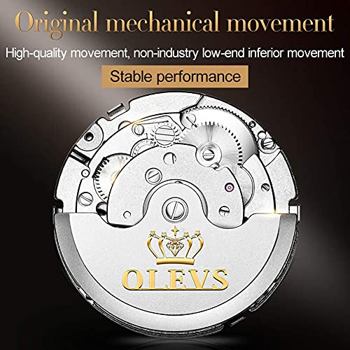 Self Winding Automatic Mechanical Tourbillon Stainless Steel Waterproof Luminous Dress Wrist Watches T379173