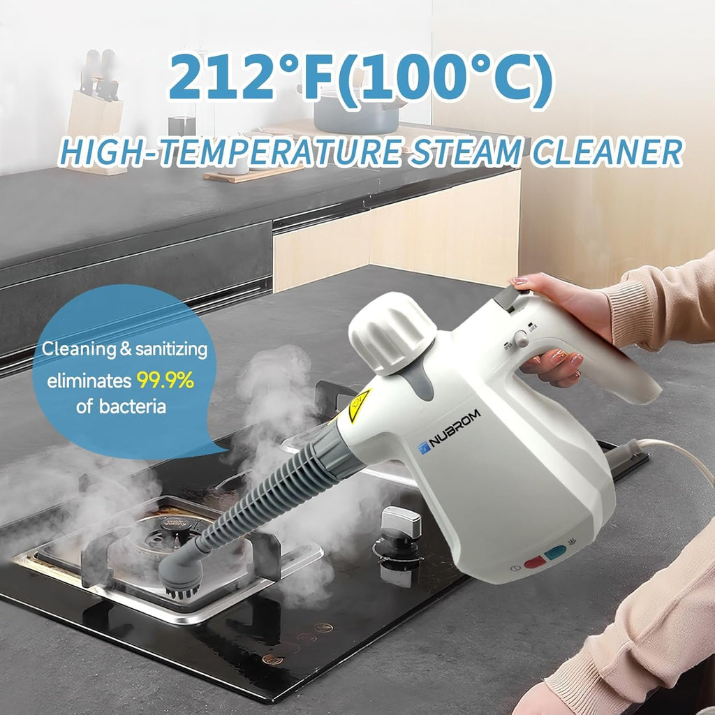 Pressurized Handheld Steam Cleaner with 10 pcs Accessories W83031