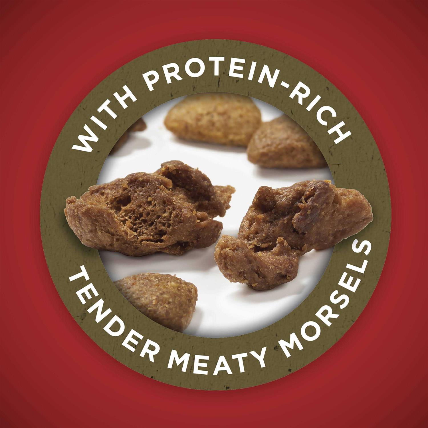 Lamb & Rice Dry Dog Food S9513