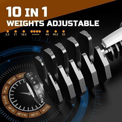 55LB Adjustable Dumbbell Set with Safety Lock N54298