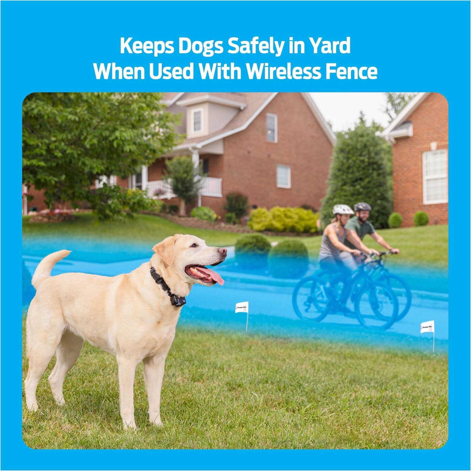 Wireless Add-A-Dog Collar K2930