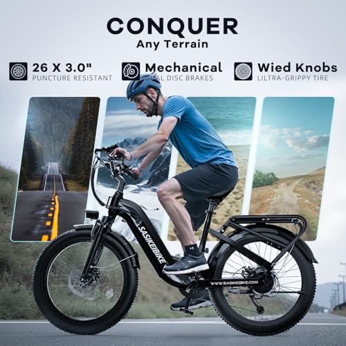24" Fat Tire Electric Bike, 48V 20AH Removable Battery, 7 Speed G4254