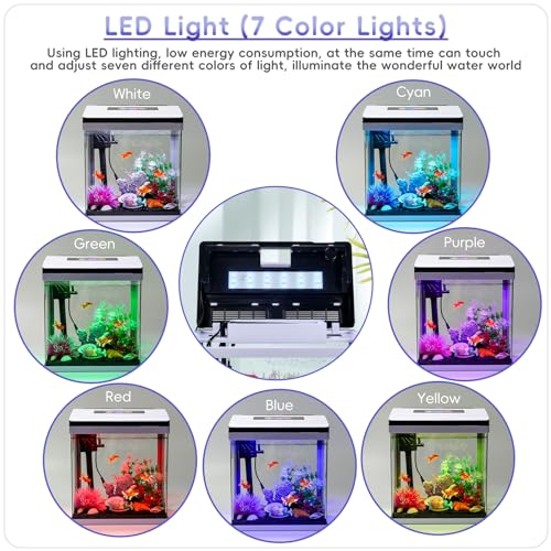 10 Gallon Glass Aquarium Fish Tank Starter Kit with Temperature and Time Display V99624