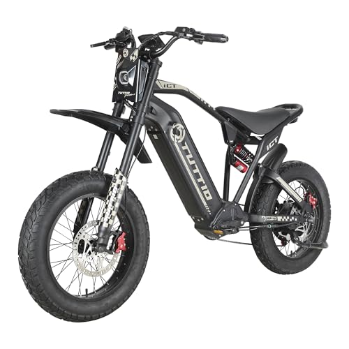 20" Fat Tire Electric Dirt Bike C561958
