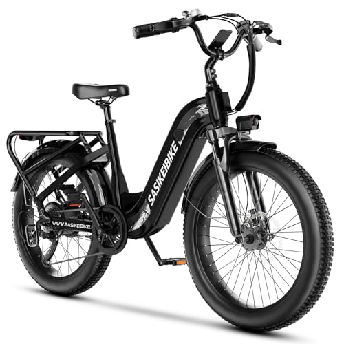 24" Fat Tire Electric Bike, 48V 20AH Removable Battery, 7 Speed G4254