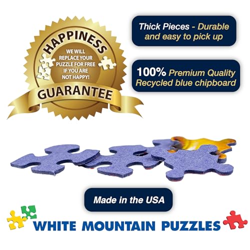 1000 Piece Jigsaw Puzzle 24"x30" S3074