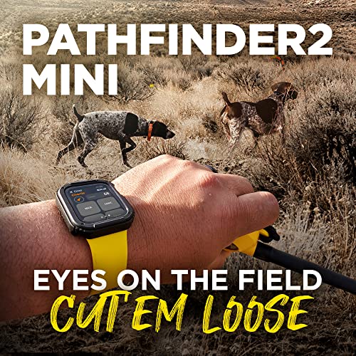 GPS Dog Tracker e Collar 9 Mile Long Range LED Light Waterproof J838