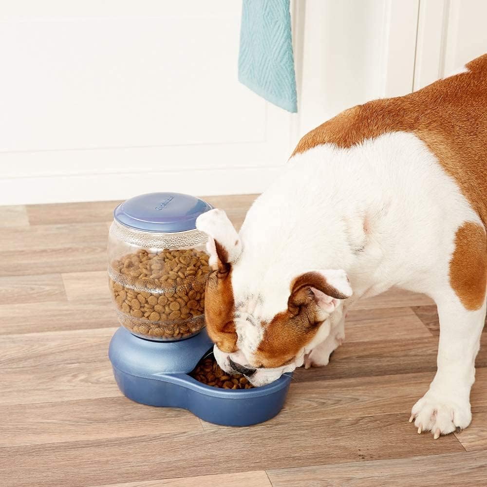 2 LB Automatic Pet Feeder G9474