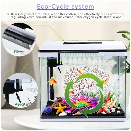 10 Gallon Glass Aquarium Fish Tank Starter Kit with Temperature and Time Display V99624