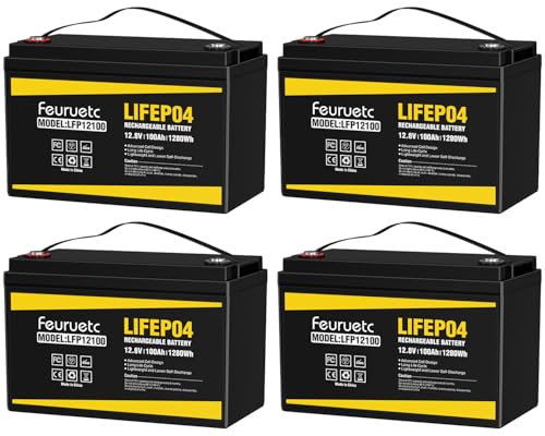 2 Pack 12V 100Ah Lithium LiFePO4 Battery with 100A BMS R811113