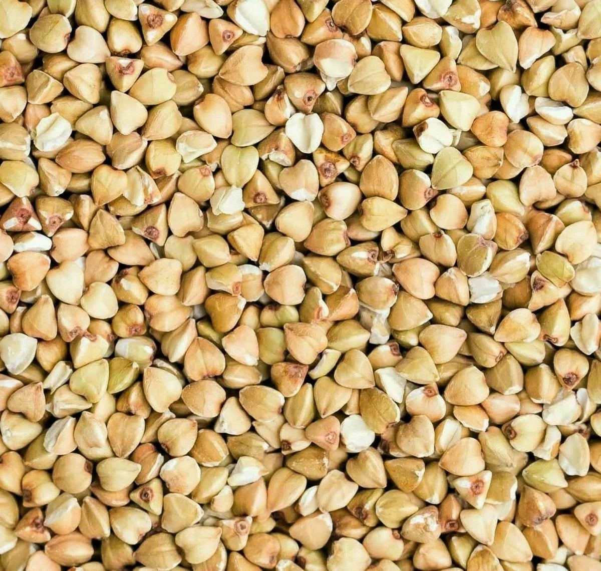 Organic Buckwheat Groats 10 LB D42376