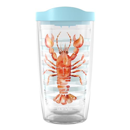 16oz Double Walled Insulated Tumbler Travel Cup 4pk D3814